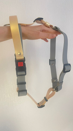 Шлейка для собак с ручкой перехват из биотана водонепроницаемая , 25 мм , М размер, золотой шимер , серый