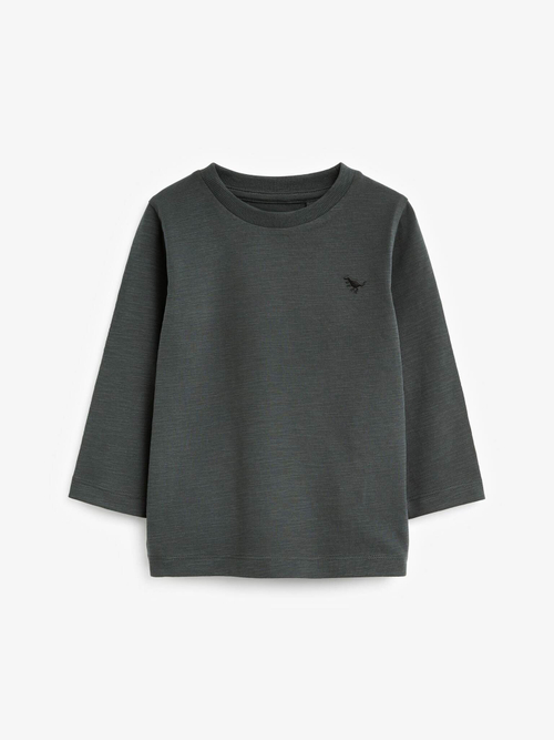 Лонгслив для мальчика Next D80-462, Темно-серый