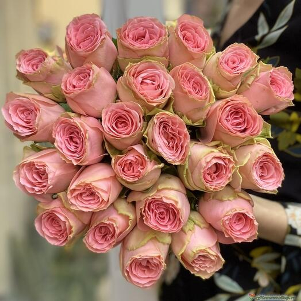 Софи Лорен 60 см