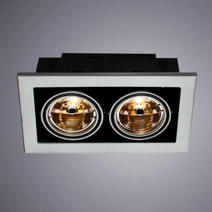 Встраиваемый светильник Arte Lamp A5930PL-2SI