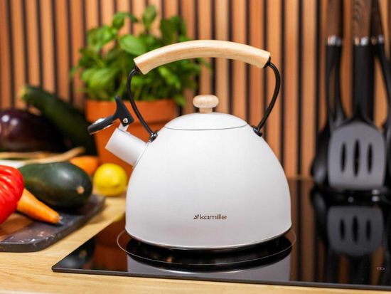 Чайник 2,5 л. из нержавеющей стали со свистком Kamille KM 0857