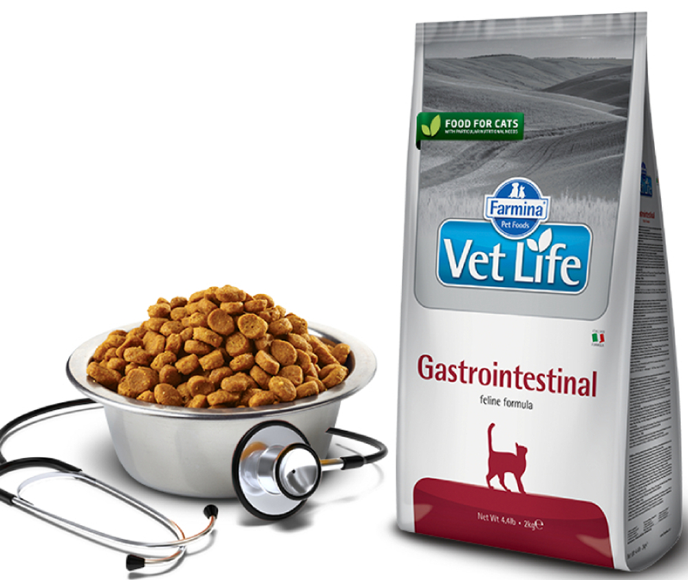 Сухой корм FARMINA VL GastroIntestinal Feline для взрослых кошек при нарушениях пищеварения - 2 кг