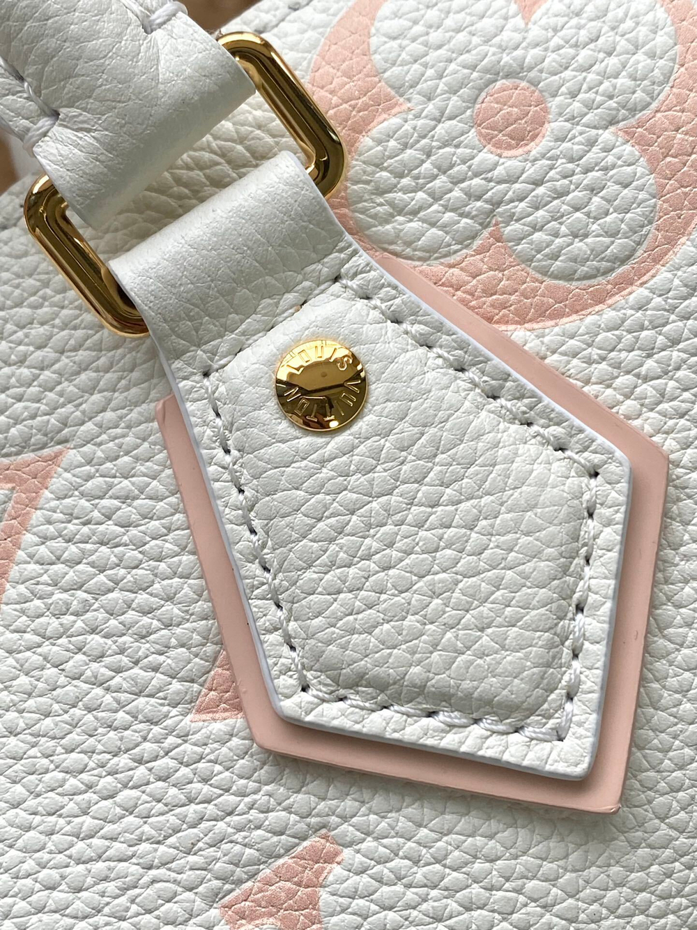 Louis Vuitton Speedy 20