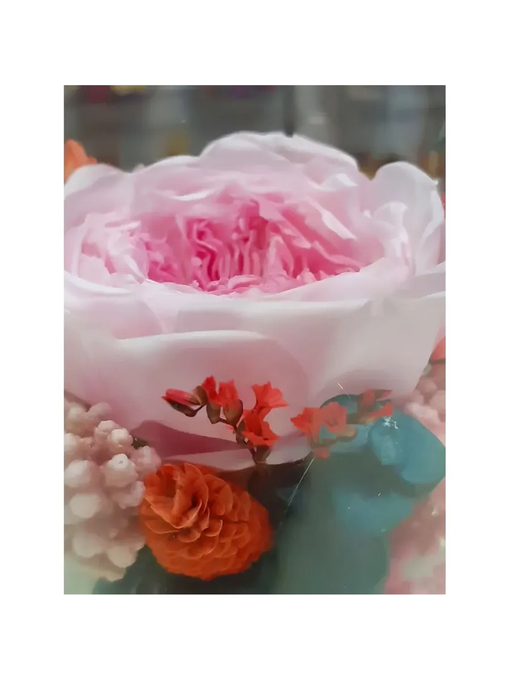 натуральный пион в стекле, вакуум*