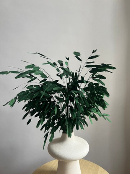 Хасмантиум зеленый