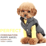 304 PA-TS Лонгслив (футболка с длинным рукавом) "Puppy Angel MAC Daily"