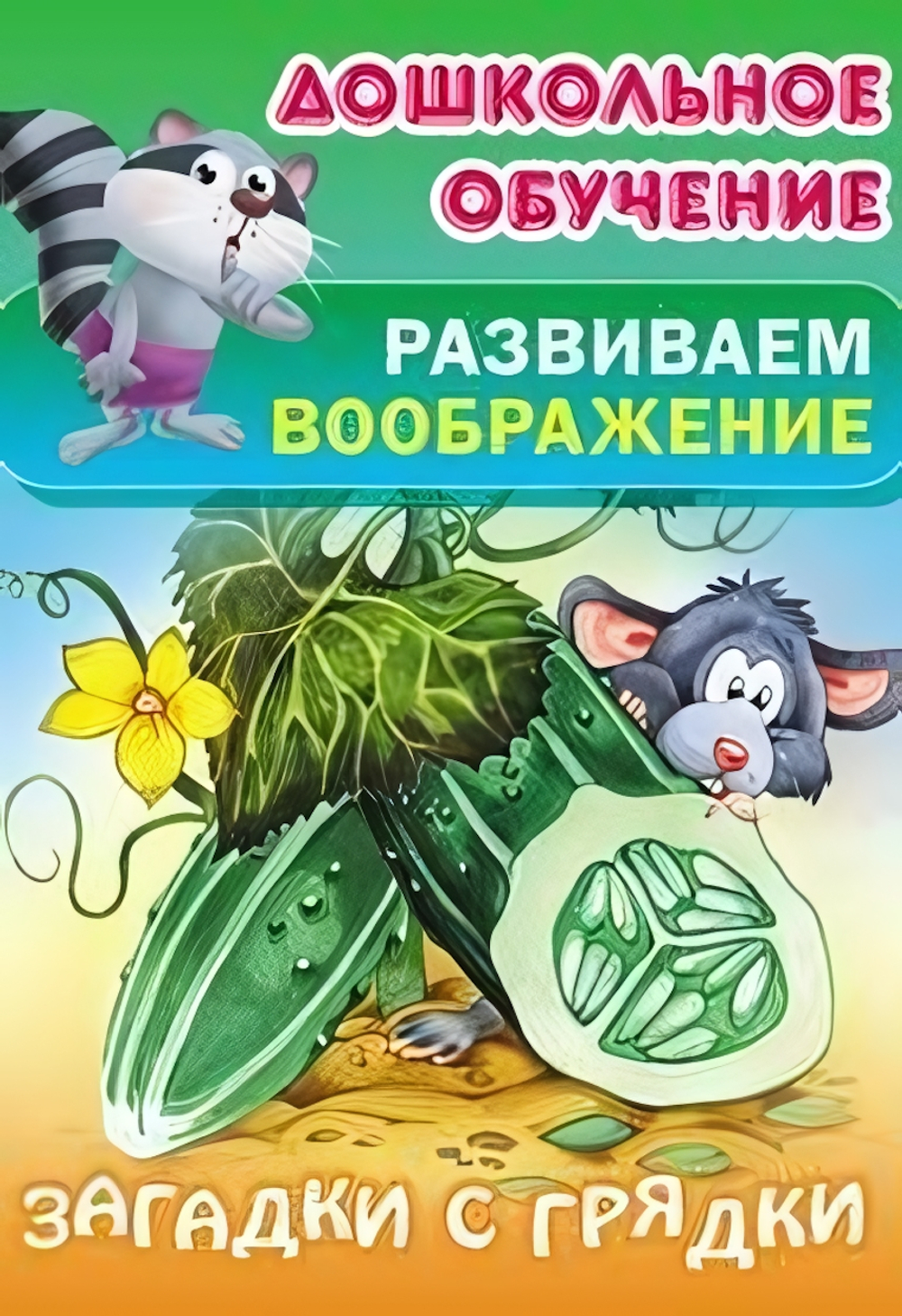 Дошкольное обучение. Развиваем воображение А5. Загадки с (Букмастер)