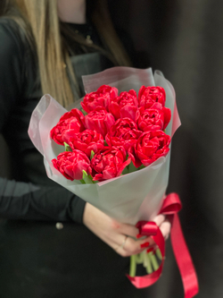 11 красных пионовидных тюльпанов