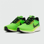 кроссовки Nike Air Zoom Pegasus 39 Green Ekiden