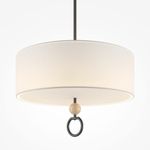 Подвесной светильник Maytoni MOD437PL-05B