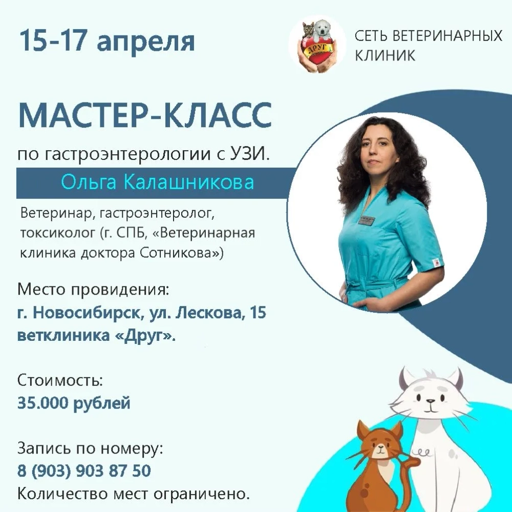 Мастер-класс по гастроэнтерологии с УЗИ