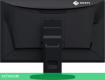 Монитор EIZO FlexScan EV2490-BK