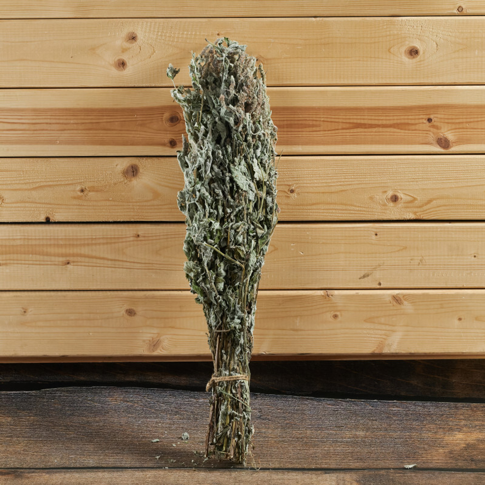 Мята яблочная, букет_6.jpg