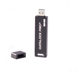Флешка с защитой от записи DataLock PRO3 64 Gb USB 3.0