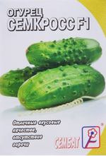 Огурец Семкросс F1