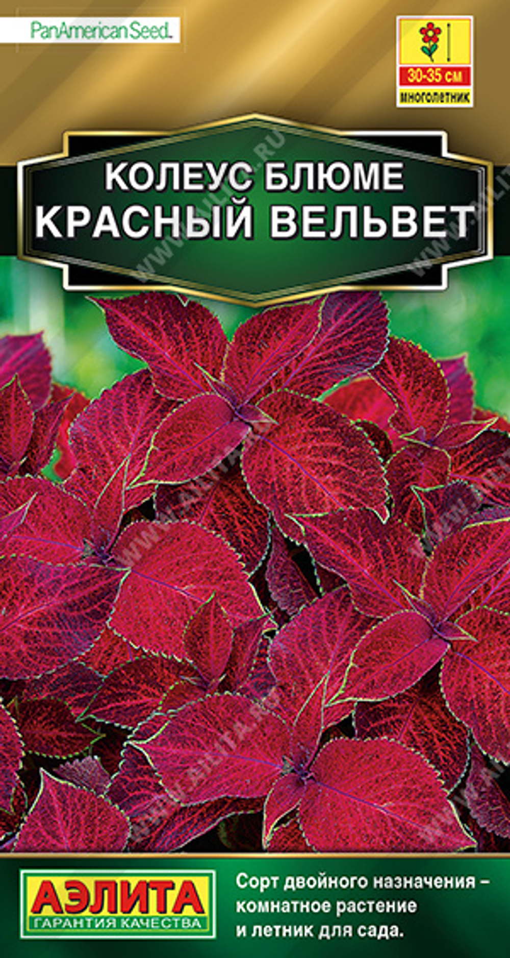 Колеус блюме Красный вельвет 5 шт (Аэлита)