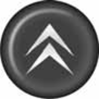 Наклейки  на колпаки D-6см - "Citroen" (объемная) голографическая (черный фон) (кт4шт) 02564