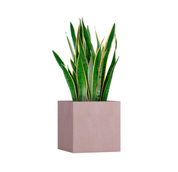 Кашпо, коллекция Classic, форма CUBE