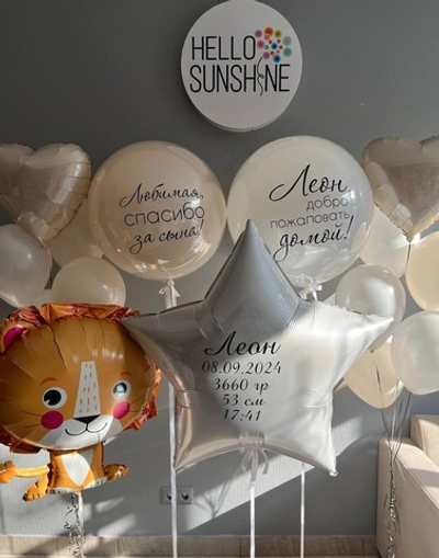 Сет на выписку Львенок