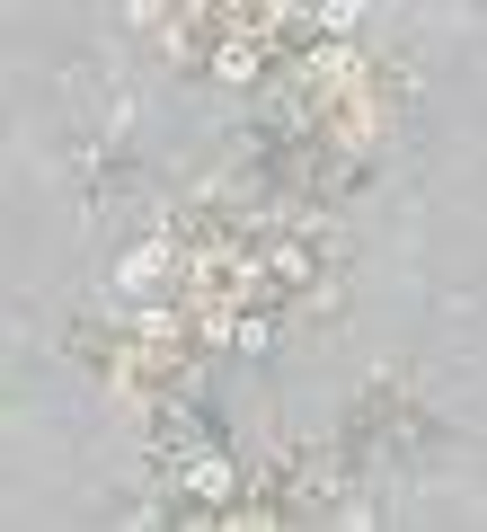 Обои Сар.С.6 Злата 06 Д946 гр.4 (12) 10,05/0,53