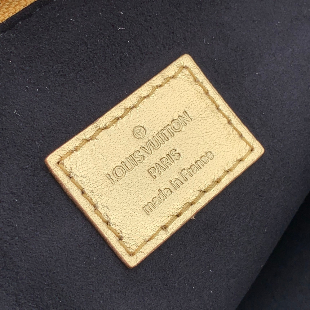 Louis Vuitton Coussin PM