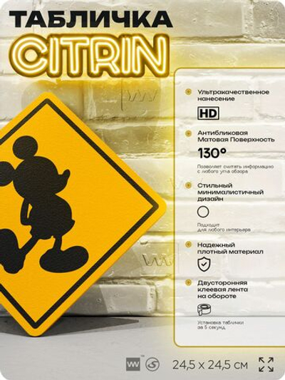 Табличка "Микки Маус" шуточная прикольная на дверь и стену, для офиса и дома, декоративный знак, 24,5х24,5 см, пластиковая, Айдентика Технолоджи