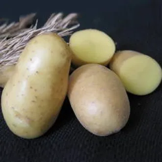 Картофель свежий «Невский» / 30 кг (мешок)
