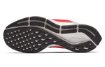 Кроссовки Nike Pegasus 35 Air Zoom (Женская размерная сетка)