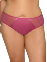 Трусики-слипы со вставками из сетки (Размер: XXXL) (Цвет: синий)