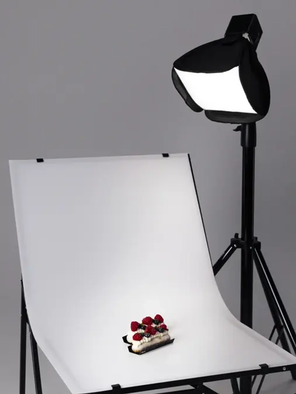 Осветитель светодиодный Raylab RL-40RGB-S 2500K-6500K 3400mAh c софтбоксом