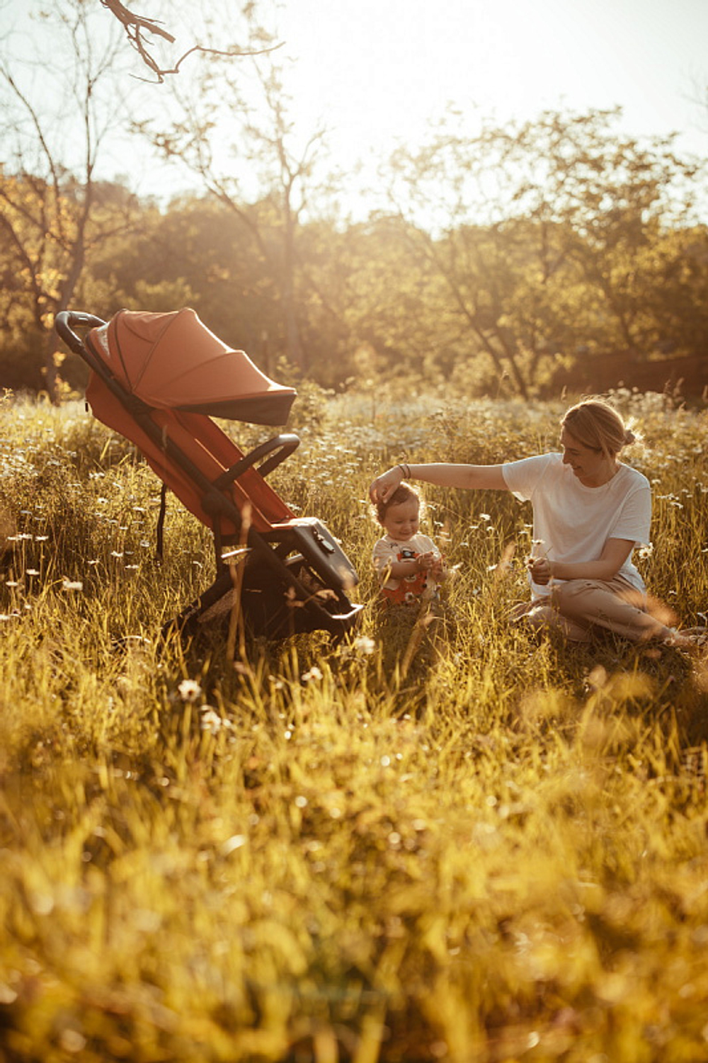 Детская прогулочная коляска Anex AIR-X Ax-01 terracotta