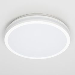Citilux LUNS CL711020V LED Светильник влагозащищённый Белый