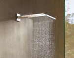 Верхний душ Hansgrohe Raindance 26238670 черный матовый