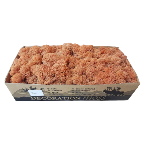 Мох ягель "Decoration" Манго