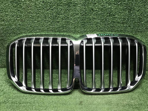 Решетка радиатора BMW X7 G07 (2019-2022)