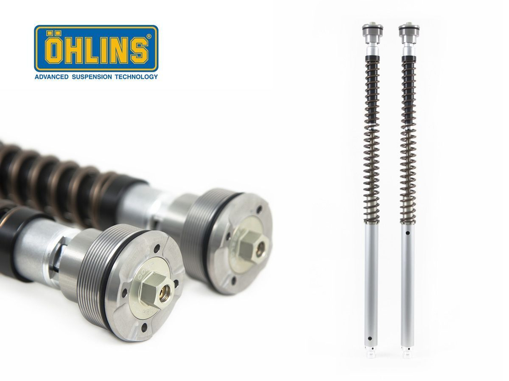 FGK 229 OHLINS FORK CARTRIDGE NIX30 SHOWA (Panigale)
