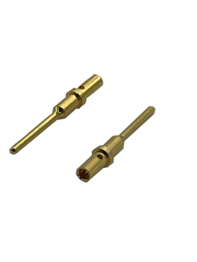 PIN GOLD 0460-202-2031 DEUTSCH DTM