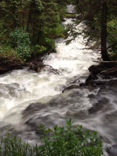 Священная Алхимическая Музыкальная Церемония:  «Сознание Бесконечности – Восприятие – Ясность – Жизненная Сила»