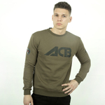 Худи Jiu Jitsu Iamfighter