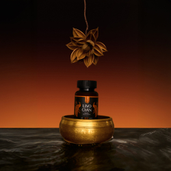 LIVO GYAN Аюрведический комплекс ЛИВО ГЯН Очищение печени 60шт