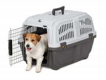 Переноски для домашних животных: своя или в прокат?