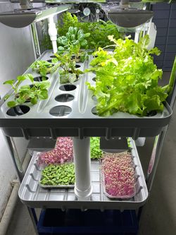 Домашняя гидропонная установка HydroBoss Mini