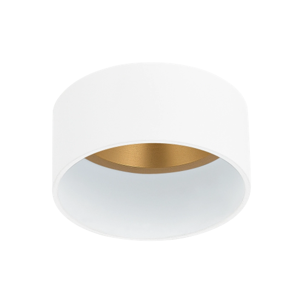 DL18030R1WhiteBronze D