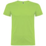 Детская футболка Beagle с короткими рукавами