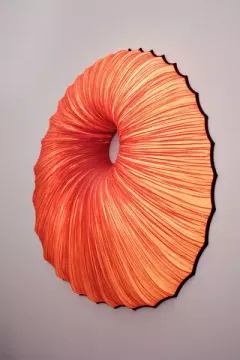 Sikus Wall & Ceiling Light by aqua creations