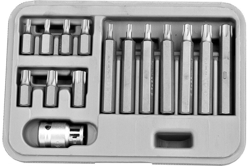 Набор бит Эксперт (15 пр; TORX) в пластиковом боксе Зубр 2651-H15_z01