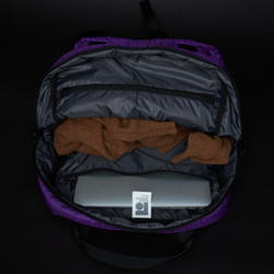 Рюкзак GO REFRIGI STRIPES Brick Pack фиолетовый