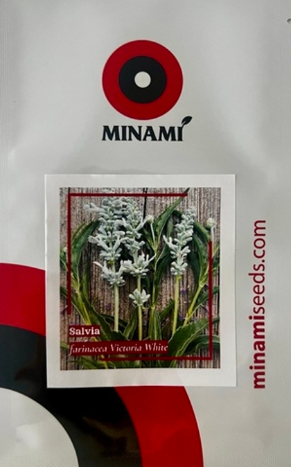 Сальвия (шалфей) мучнистая Виктория вайт 30шт.