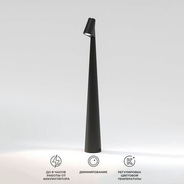 Светильник светодиодный настольный LED 2W 3000К/4000К/6000К TL70250 чёрный Elite Elektrostandard