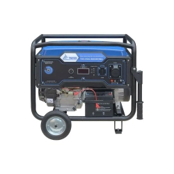 ТСС SGG 8000EHNA бензогенератор с блоком АВР ТСС С 9000/230 160014/190047